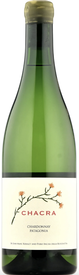 Bodegas Chacra Chardonnay 2021